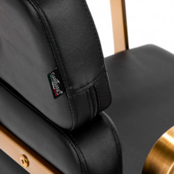 Gabbiano Porto Hairdressing Chair Gold Black by GABBIANO buy online in BestHair shop