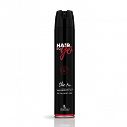 LENDAN Hair To Go Chic Fix Hairspray 500 ml by Lendan buy online in BestHair shop