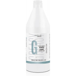 SALERM Hair Lab Greasy Control Šampoon rasustele juustele 300ml by Salerm