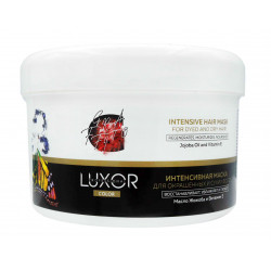 LUXOR Professional Intensiivne Mask Värvitud Ja Kuivadele Juustele 490ml by LUXOR