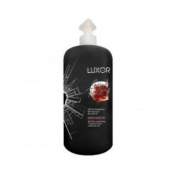 Luxor Professional Detox-Shampoo With Charcoal and Chia Oil 1000ml by LUXOR buy online in BestHair shop