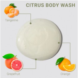 LOMA Citrus Refreshing Body Wash 340ml by LOMA buy online in BestHair shop